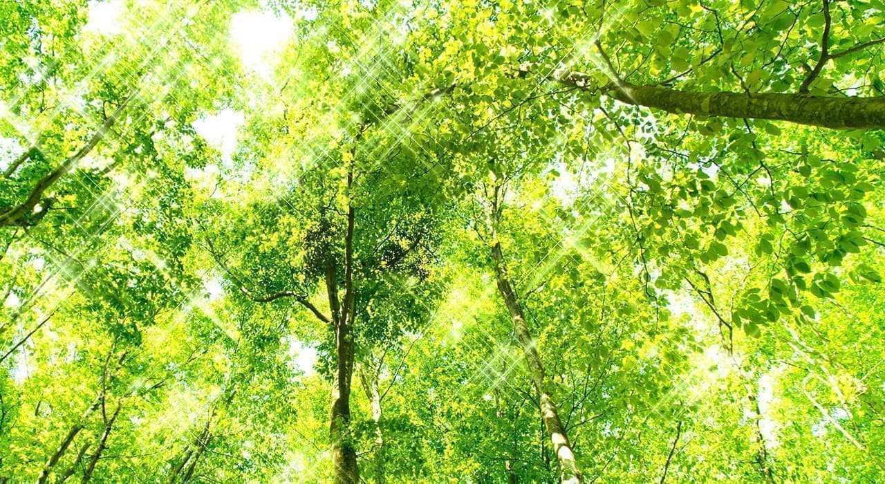 環境づくりに努めています。